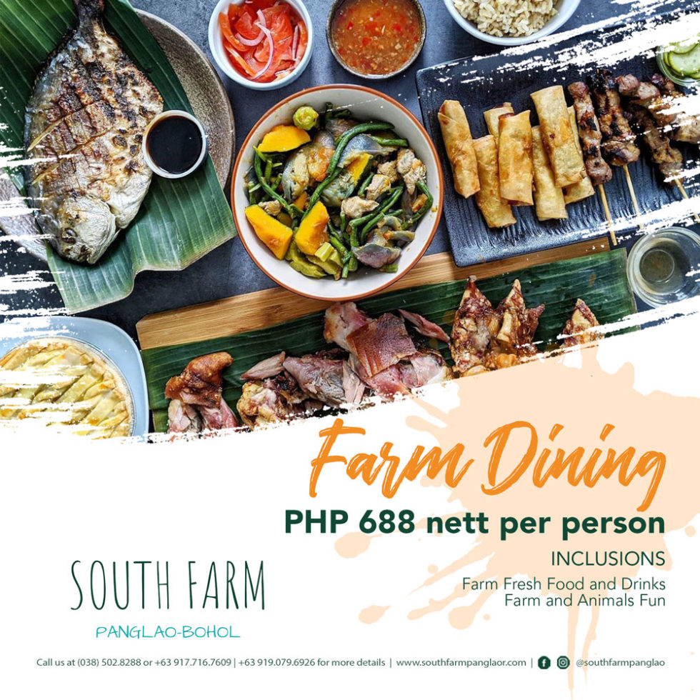 South Farm Panglao